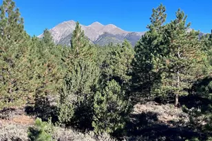 14710 Quartz Cir, Salida, CO 81201 - Photo 1