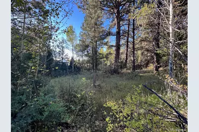 14710 Quartz Circle, Salida, CO 81201 - Photo 7