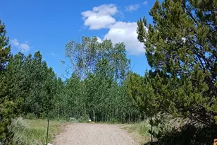 33130 Ramuda Trl, Oak Creek, CO 80467 - Photo 1