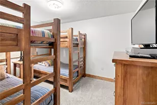 120 E La Bonte Street, Dillon, CO 80435 - Photo 27