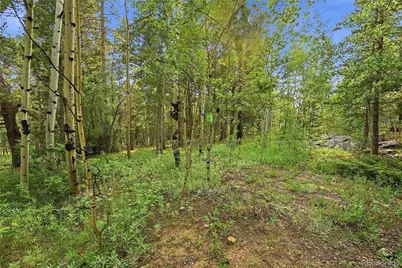 464 Long Trail Road, Black Hawk, CO 80422 - Photo 27