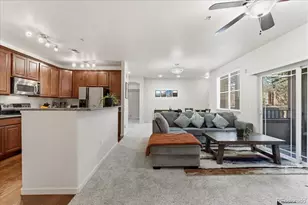 803 E 98th Ave, Denver, CO 80229 - Photo 9