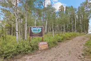 424 W Dory Way, Black Hawk, CO 80422 - Photo 45