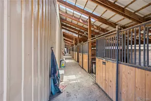23615 Oehlmann Park Rd, Conifer, CO 80433 - Photo 13