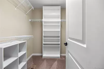 4106 Burnham Place, Castle Rock, CO 80104 - Photo 29