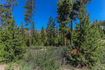 493 County Road 4632, Grand Lake, CO 80447 - Photo 7