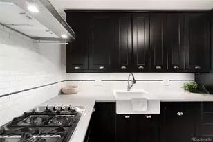 644 N Logan St, Denver, CO 80203 - Photo 11