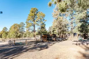 7479 Pine Crest Dr, Kiowa, CO 80117 - Photo 37