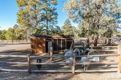7479 Pine Crest Drive, Kiowa, CO 80117 - Photo 29