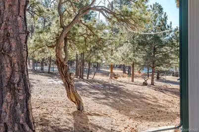 7479 Pine Crest Drive, Kiowa, CO 80117 - Photo 33