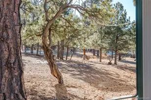 7479 Pine Crest Dr, Kiowa, CO 80117 - Photo 33