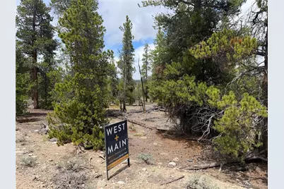 341 Lodgepole Drive, Leadville, CO 80461 - Photo 1