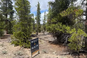 341 Lodgepole Dr, Leadville, CO 80461 - Photo 1