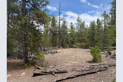 341 Lodgepole Drive, Leadville, CO 80461 - Photo 3