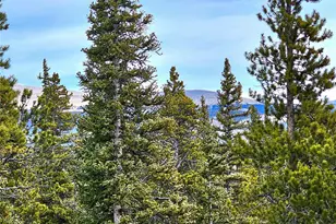 1678 Cr-14A, Fairplay, CO 80440 - Photo 23