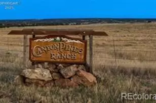 6100 Waterbarrel Rd, Beulah, CO 81023 - Photo 39