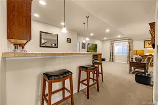 10322 Webster Pass Ct, Colorado Springs, CO 80924 - Photo 21