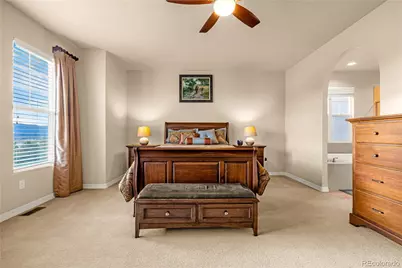 10322 Webster Pass Court, Colorado Springs, CO 80924 - Photo 15