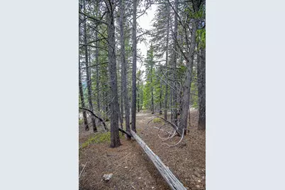 Lot 836 Nebraska Drive, Idaho Springs, CO 80452 - Photo 41