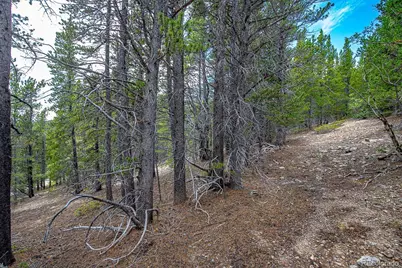 Lot 836 Nebraska Drive, Idaho Springs, CO 80452 - Photo 39