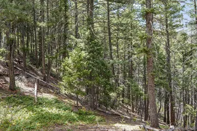 15947 S Perry Park Road, Palmer Lake, CO 80133 - Photo 5