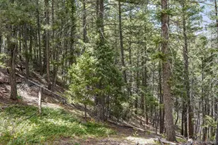 15947 S Perry Park Rd, Palmer Lake, CO 80133 - Photo 5