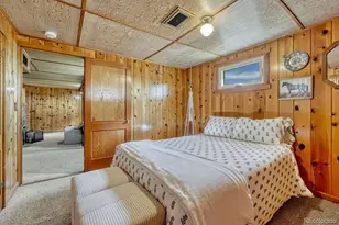 15947 S Perry Park Rd, Palmer Lake, CO 80133 - Photo 43