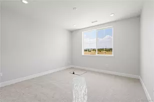 6593 Bridlespur St, Castle Pines, CO 80108 - Photo 15