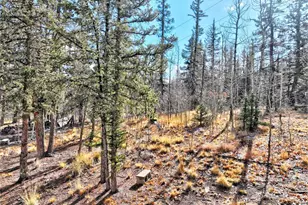45 Swiggler Ct, Jefferson, CO 80456 - Photo 37