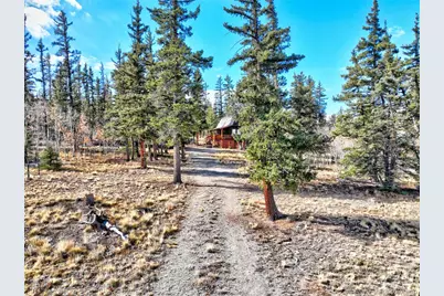 45 Swiggler Court, Jefferson, CO 80456 - Photo 31