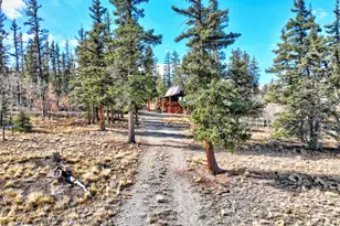 45 Swiggler Ct, Jefferson, CO 80456 - Photo 31