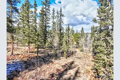 45 Swiggler Court, Jefferson, CO 80456 - Photo 41