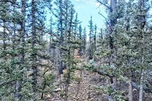 45 Swiggler Ct, Jefferson, CO 80456 - Photo 35