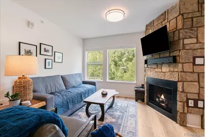1044 Blue River Parkway #C207, Silverthorne, CO 80498 - Photo 5