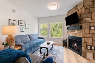 1044 Blue River Pkwy, Silverthorne, CO 80498 - Photo 5