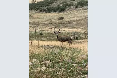 223 Stone Canyon Road, Lyons, CO 80540 - Photo 9