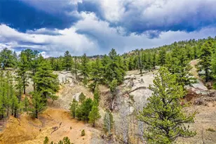 39609 US Hwy 24, Lake George, CO 80827 - Photo 41