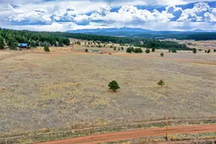 39609 US Hwy 24, Lake George, CO 80827 - Photo 29