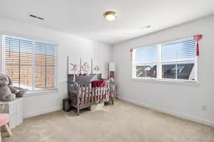 8087 Mount Kataka St, Littleton, CO 80125 - Photo 25