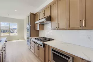 389 Basin Daisy St, Castle Rock, CO 80104 - Photo 15