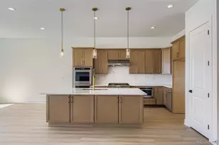 389 Basin Daisy St, Castle Rock, CO 80104 - Photo 13