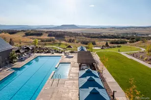 389 Basin Daisy St, Castle Rock, CO 80104 - Photo 37