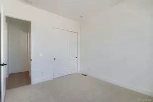 389 Basin Daisy St, Castle Rock, CO 80104 - Photo 23