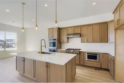 389 Basin Daisy Street, Castle Rock, CO 80104 - Photo 11