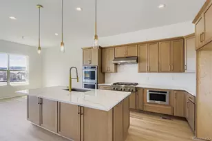 389 Basin Daisy St, Castle Rock, CO 80104 - Photo 11