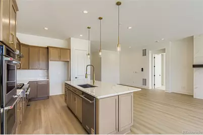 389 Basin Daisy Street, Castle Rock, CO 80104 - Photo 9