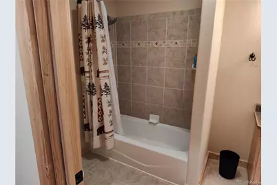 226 Pine Cone Way, Fairplay, CO 80440 - Photo 29