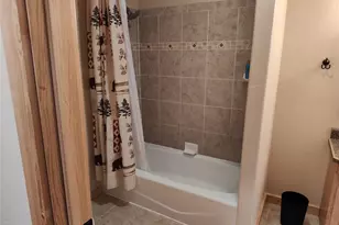 226 Pine Cone Way, Fairplay, CO 80440 - Photo 29