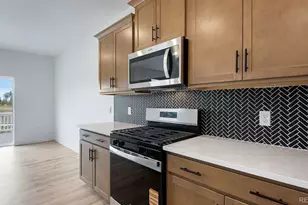 13973 Beebalm Trl, Parker, CO 80134 - Photo 5