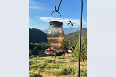 4351 County Road 12, Cotopaxi, CO 81223 - Photo 13